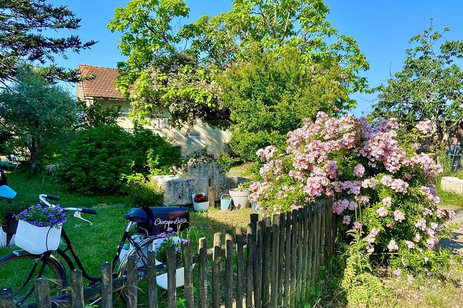 Wine Tour - Château Labrie Saint Emilion Grand Cru - Wine Tour Details