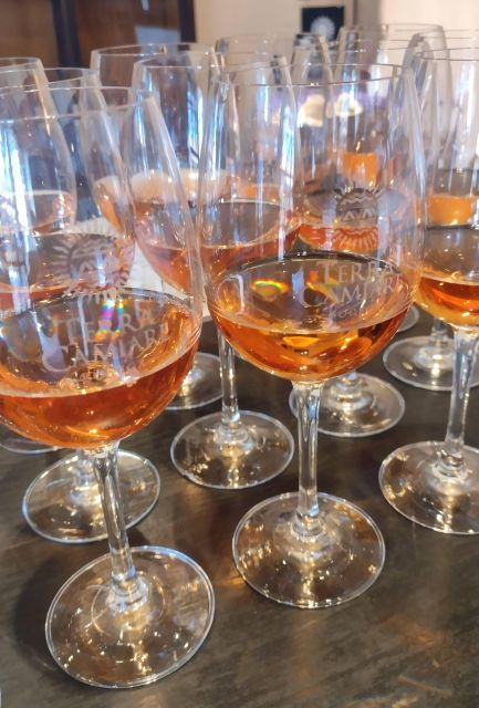 Wine Tour Córdoba - Tour Highlights