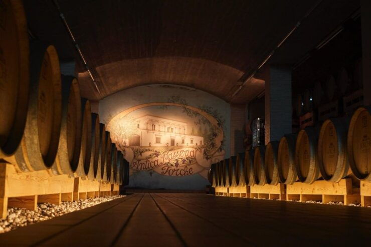 Wine Tour "Discovery Jarche" - Itinerary Details