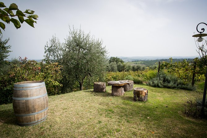 Wine Tour Experience at Agricola Tamburini - Common Questions