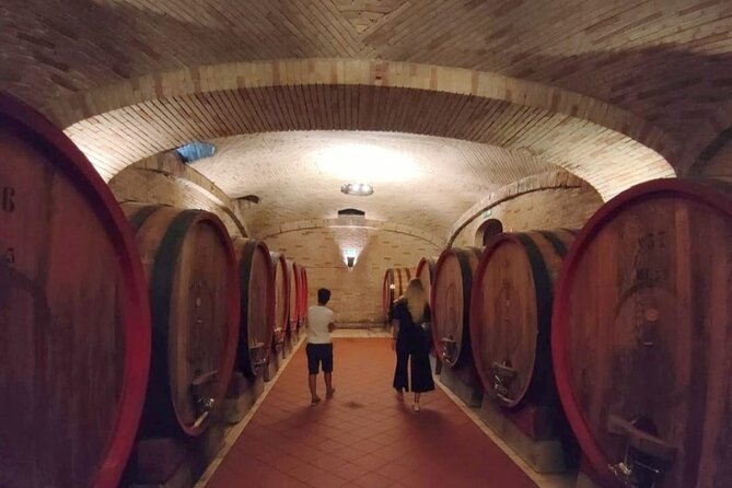 Wine Tour From Cagliari - Visit the Vineyard and Wine Tasting - Inclusions and Highlights