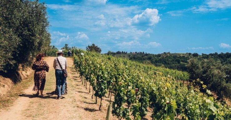 Wine Tour in a Family Winery in Tuscany - Tour Highlights
