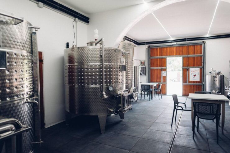 Wine Tour in a Family Winery in Tuscany - Activity Details