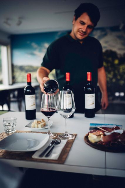 Wine Tour in a Family Winery in Tuscany - Tour Description