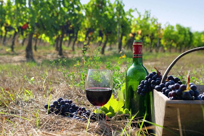 Wine Tour in Armenia - Accommodation Details