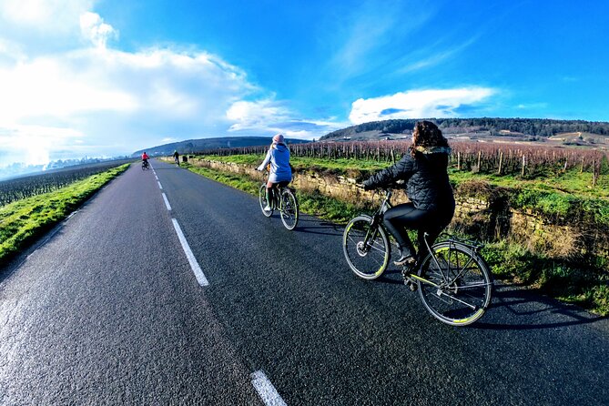 Wine Tour in Burgundy and Tasting by Bike  - Beaune - Tour Details and Highlights