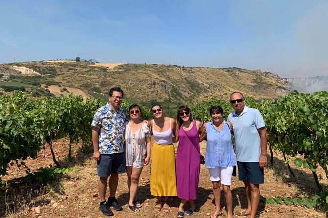 Wine Tour in Calabria - Tenuta Celimarro Winery - Winery Highlights