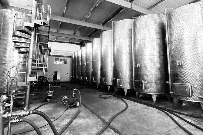 Wine Tour in Kakheti - Additional Information