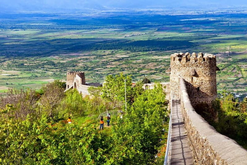 Wine Tour in Kakheti: Sighnaghi, Bodbe Monastery, Telavi - Who Should Consider This Tour?