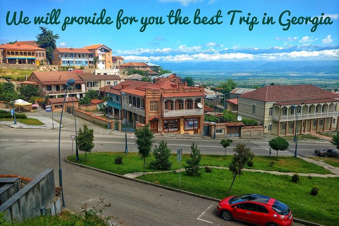 Wine Tour in Kakheti, Telavi Town, Georgia - Reviews