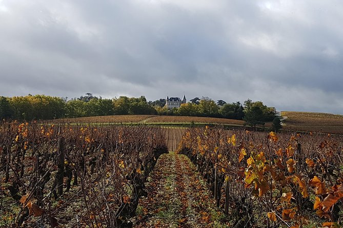 Wine Tour in Medoc With Coffee Break - Tour Details