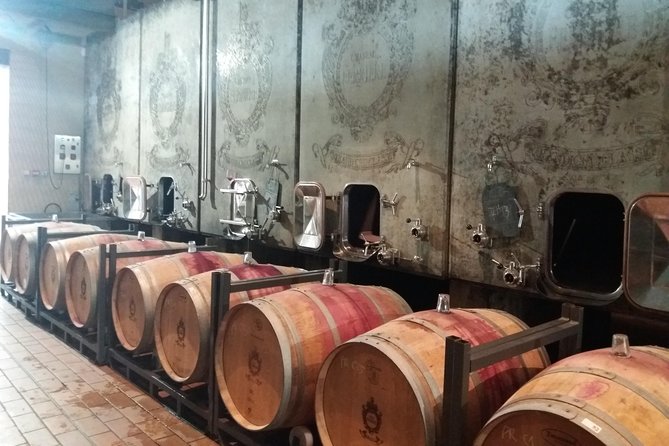 Wine Tour in Medoc With Coffee Break - Inclusions