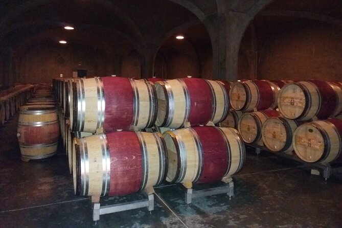 Wine Tour in Medoc With Coffee Break - What to Expect