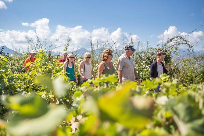 Wine Tour in Nemea from Nafplio - What’s Included and What’s Not