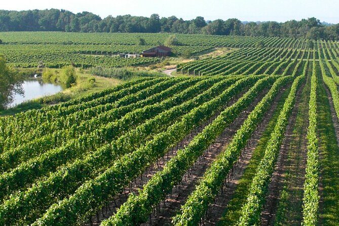 Wine Tour in Niagara-on-the-Lake - Who Should Consider This Tour?