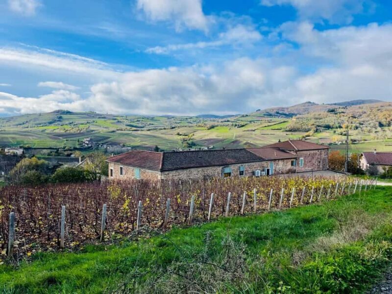Wine tour in Pouilly Fuissé - What Sets This Tour Apart?