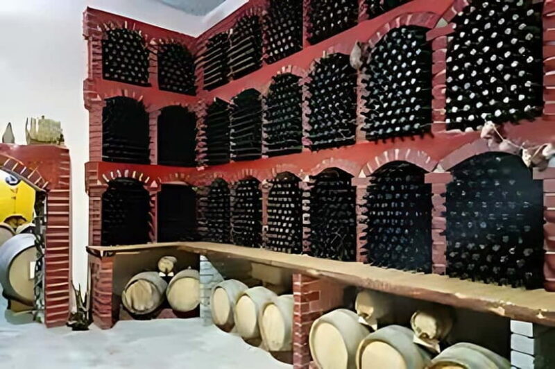 Wine tour in Samarkand (Baguizagan) English - An In-Depth Look at the Samarkand Wine Tour Experience