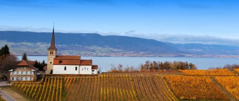Wine tour in the canton of Vaud - Lavaux vineyards - Good To Know