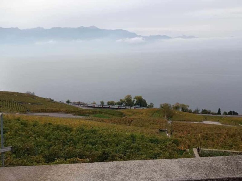 Wine tour in the canton of Vaud - Lavaux vineyards - The Art of Wine Tasting