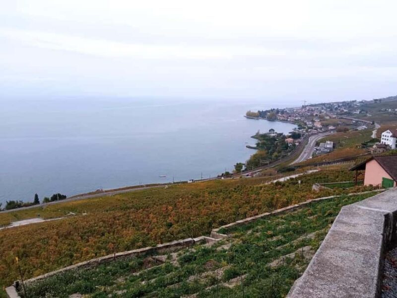 Wine tour in the canton of Vaud - Lavaux vineyards - Frequently Asked Questions
