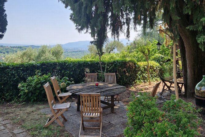 Wine Tour in the Countryside of Lucca With Lunch - With Minivan - Culinary Delights