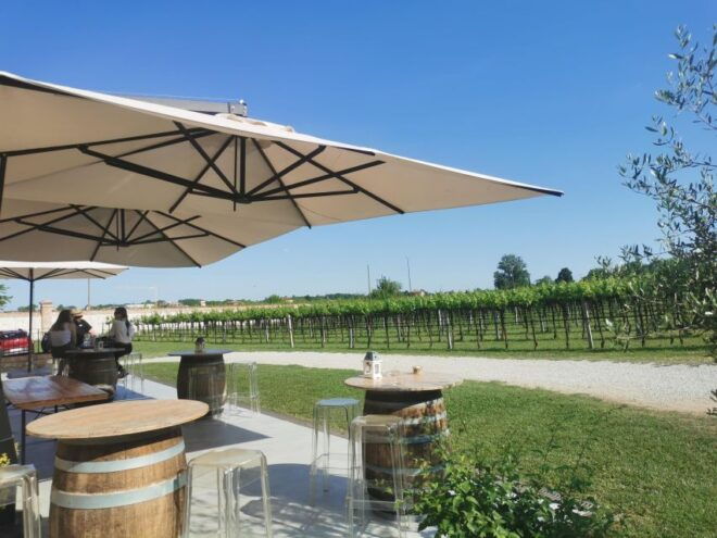 Wine Tour in the Euganean Hills From Abano Montegrotto - Description