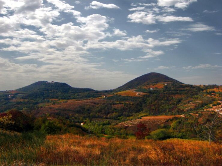 Wine Tour in the Euganean Hills From Padua - Tour Details