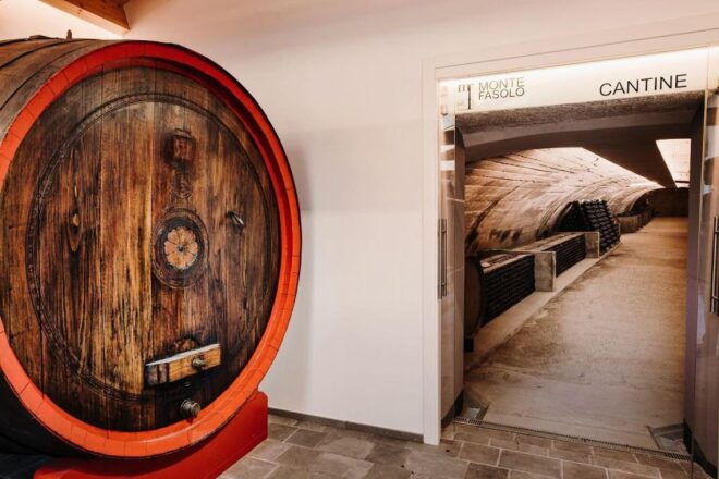 Wine Tour in the Euganean Hills From Padua - Important Information