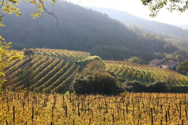 Wine Tour in the Euganean Hills From Padua - Directions