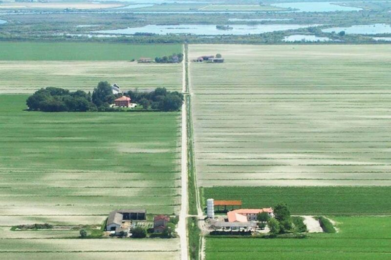 Wine Tour in the Hemingway lands close to Caorle Lagoon - Who Will Love This Experience?