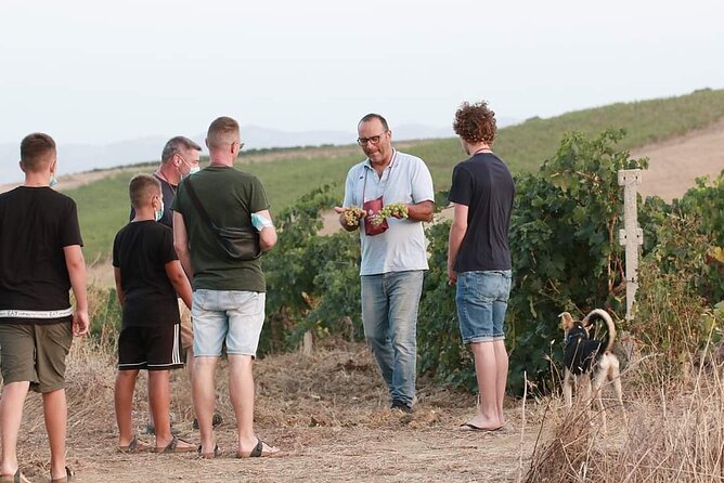 Wine Tour in the Historic Baglio Florio Adamo With Lunch - Common Questions