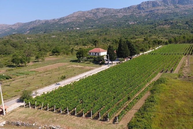 Wine Tour Konavle - The Sum Up