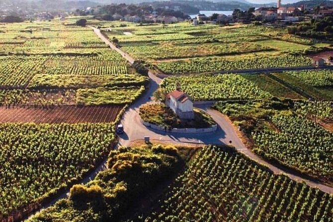 Wine Tour KorčUla - Private Tour - Wine Tasting Experience