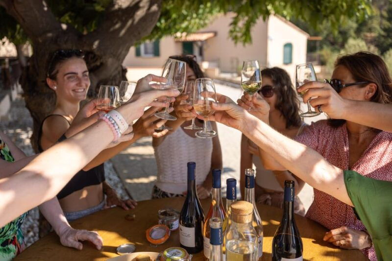 Wine Tour - Le Pradet - Reservation and Cancellation Policy
