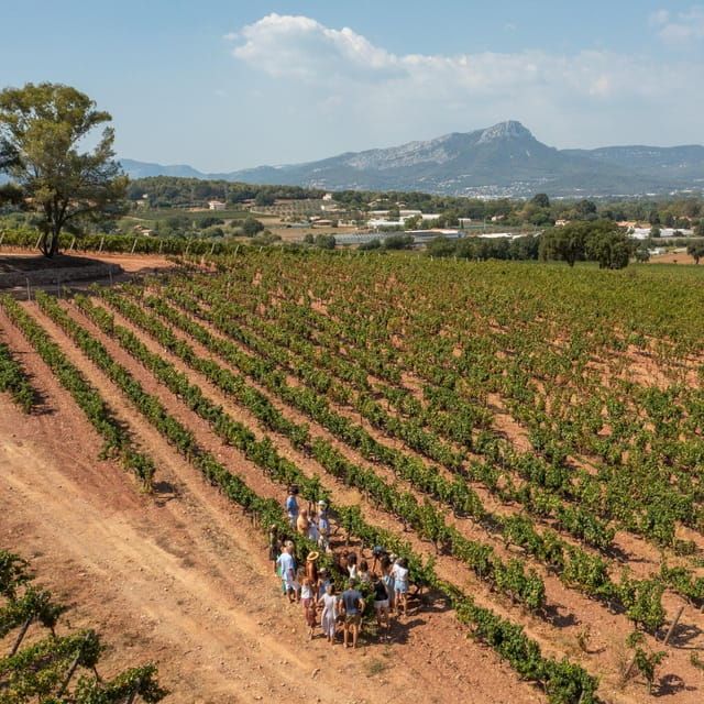 Wine Tour - Le Pradet - The Organic and Biodynamic Estate