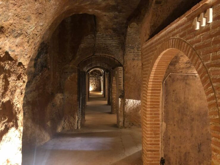 Wine Tour of Rueda - a Day of Visits & Tastings - Winery Visits and Tastings