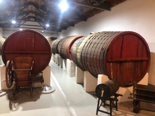 Wine Tour of Rueda - a Day of Visits & Tastings - Underground Cellar Exploration