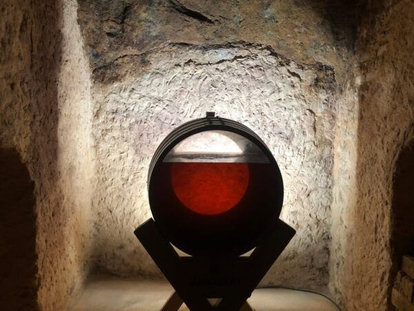Wine Tour of Rueda - a Day of Visits & Tastings - Pickup and Drop-Off From Madrid