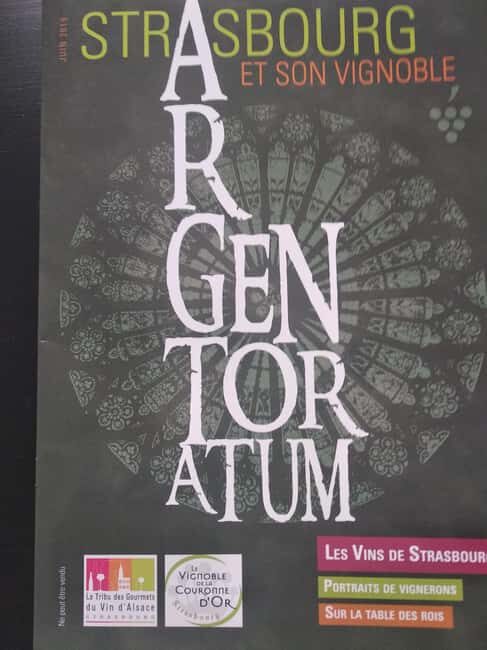 Wine tour of the Alsace wine route - A Practical Look at the Wine Tour of the Alsace Wine Route