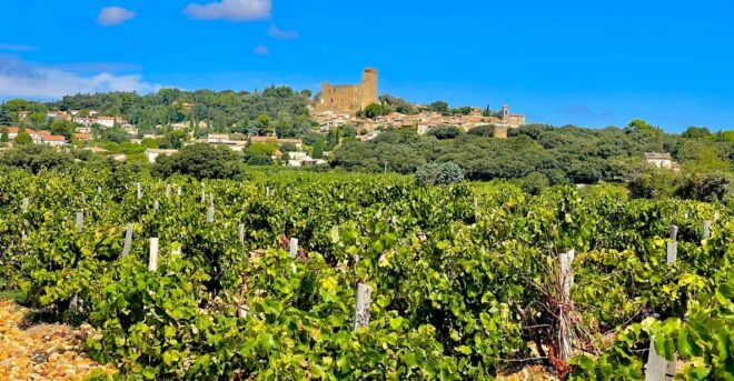 Wine Tour: on the Way to Chateauneuf Du Pape - Meeting Point Information