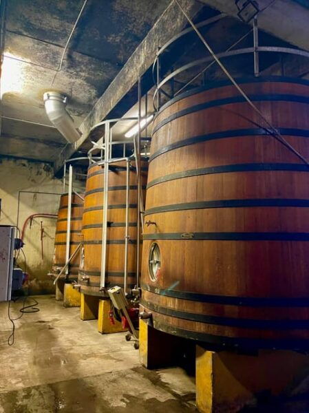 Wine Tour: on the Way to Chateauneuf Du Pape - Participant Requirements