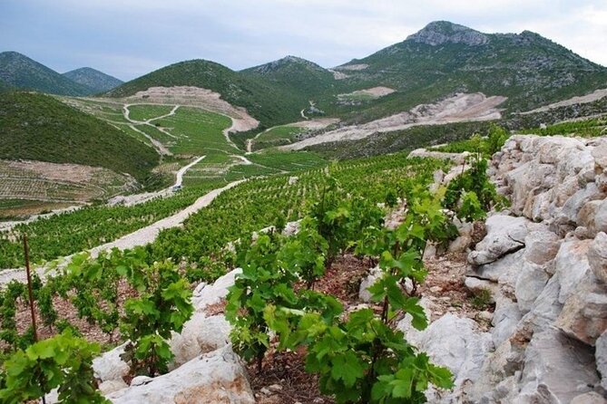 Wine Tour Peninsula PelješAc - Additional Tour Information