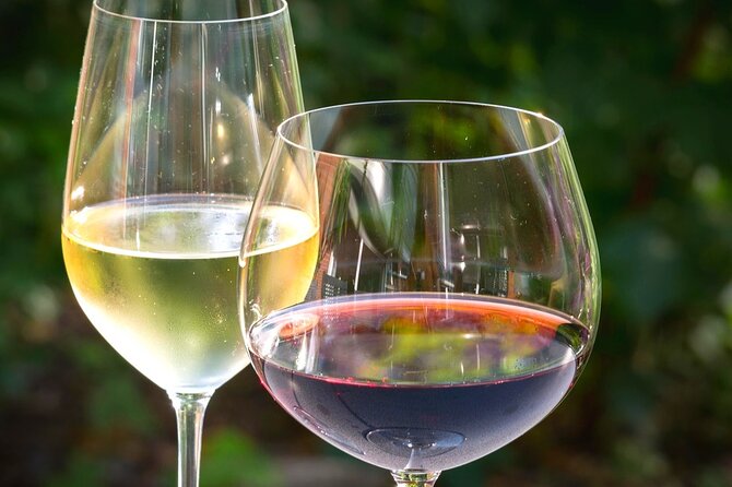 Wine Tour Peninsula PelješAc - Highlights and Guide Description