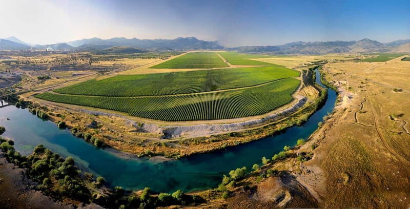 WINE TOUR: Recommended for hedonists! - Good To Know