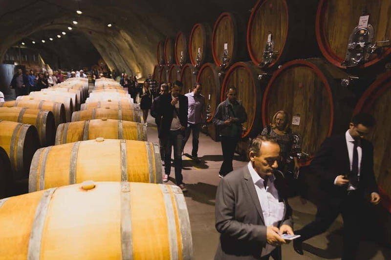 WINE TOUR: Recommended for hedonists! - The Sum Up