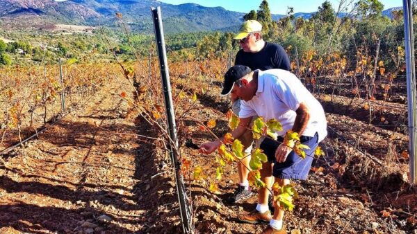 Wine Tour Sardinia - Frequently Asked Questions