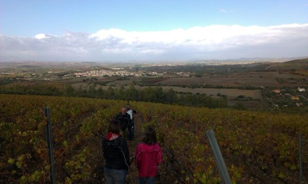 Wine Tour Sardinia - The Sum Up