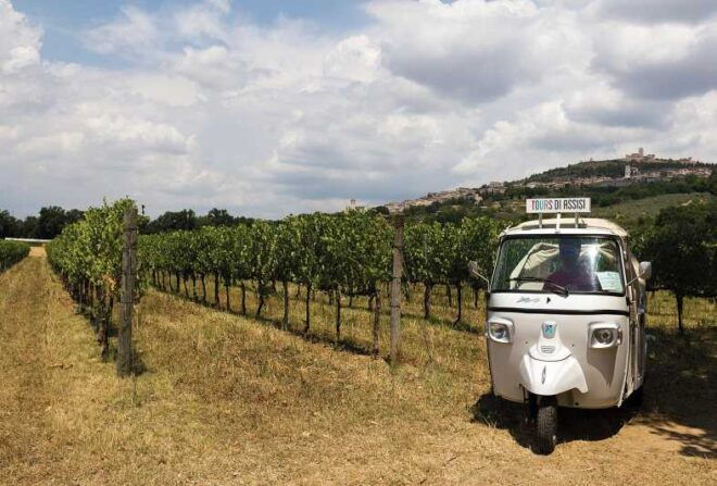 Wine Tour Spello in Tuk Tuk: Italian - Wine and Olive Oil Tasting
