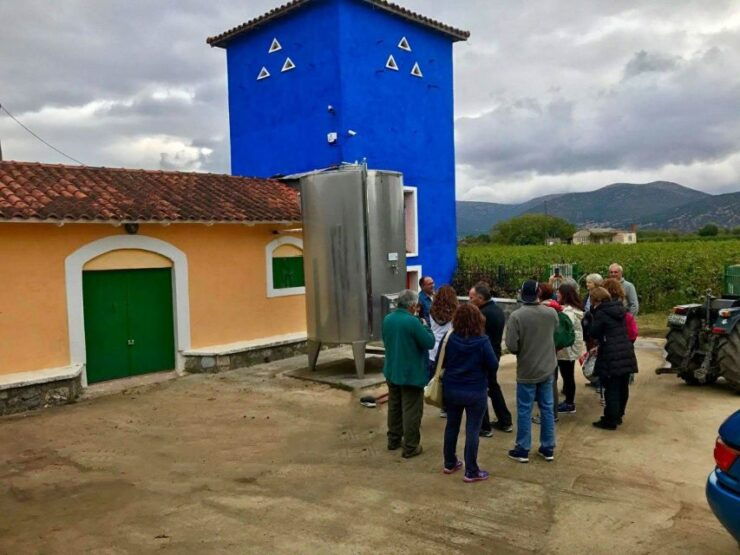 Wine Tour & Tasting in an Organic Winery in Arcadia, Greece - Experience Highlights