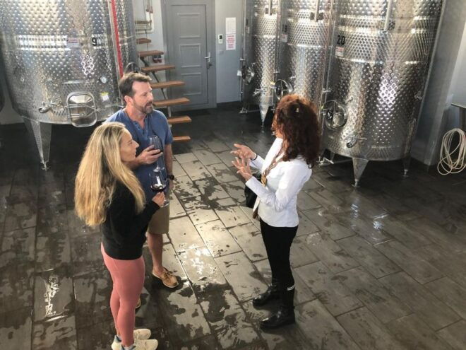 Wine Tour & Tasting in an Organic Winery in Arcadia, Greece - Vineyard Tour